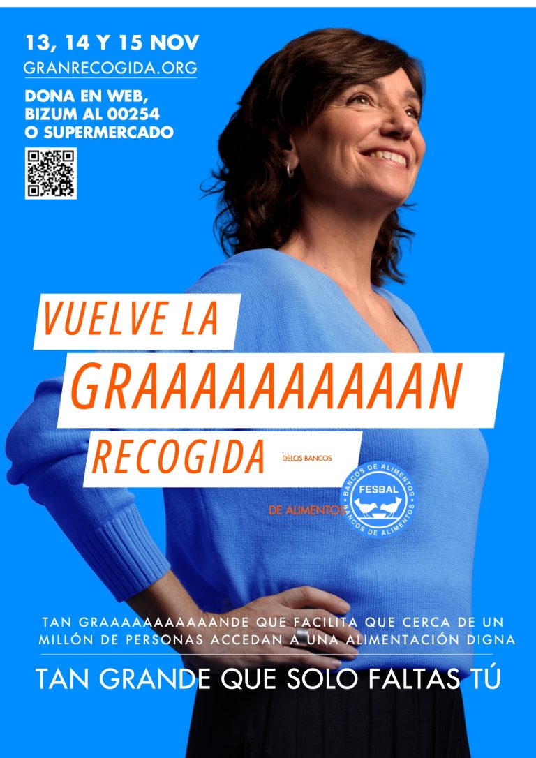 Cartel de la Gran Recogida 2026: 13, 14 y 15 de noviembre. Bizum al 00254