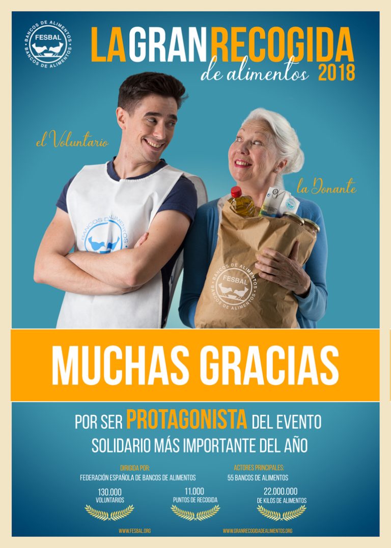 Resultados de la Gran Recogida 2018 en la provincia de Toledo